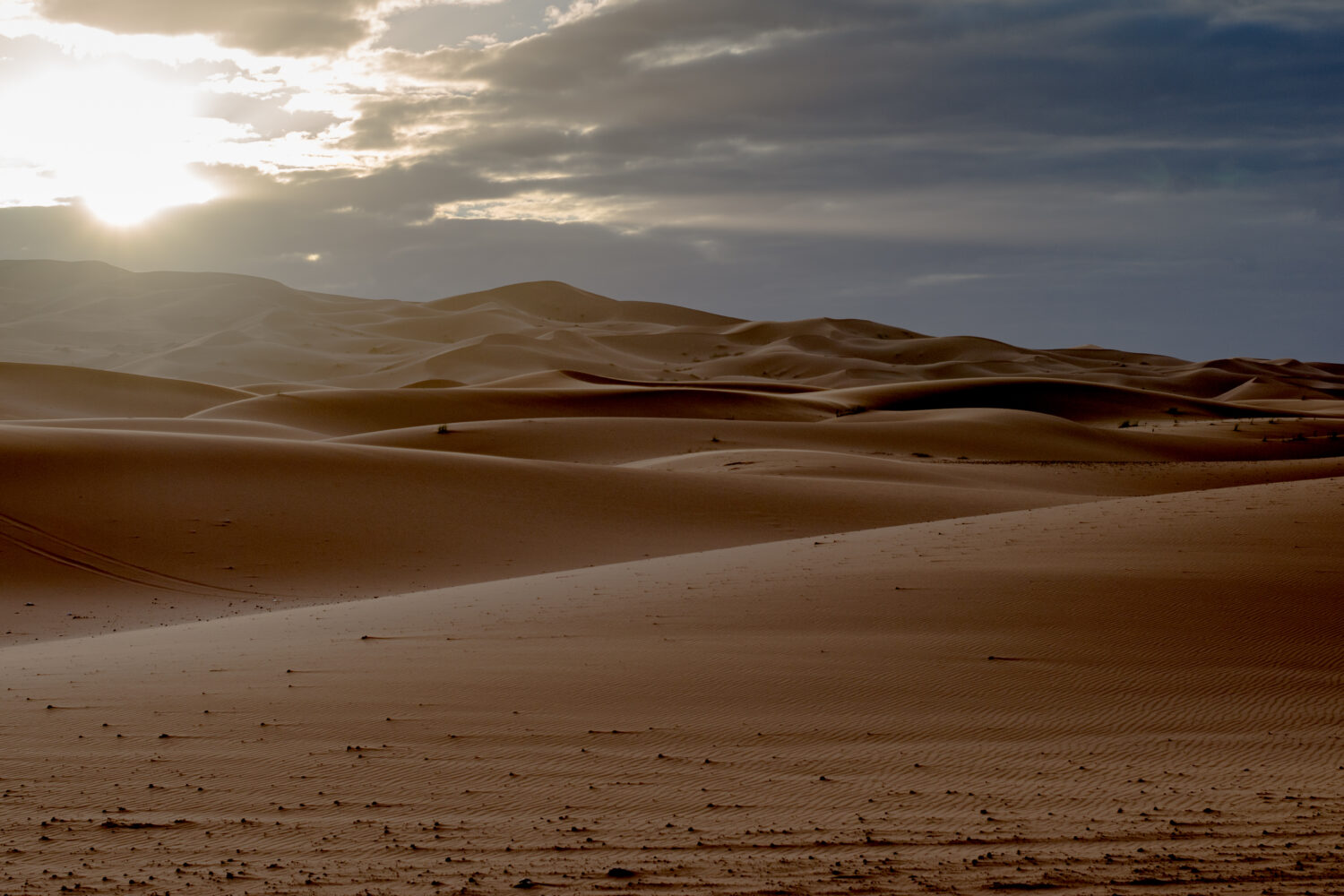 kasbahs y el desierto
