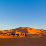 Tour 8 días desde Marrakech al Desierto de Merzouga
